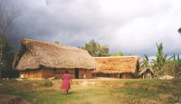 Mayan home